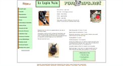 Desktop Screenshot of lapin.rongeurs.net