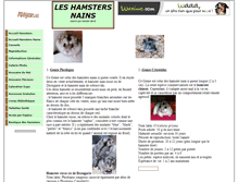 Tablet Screenshot of hamster-russe.rongeurs.net